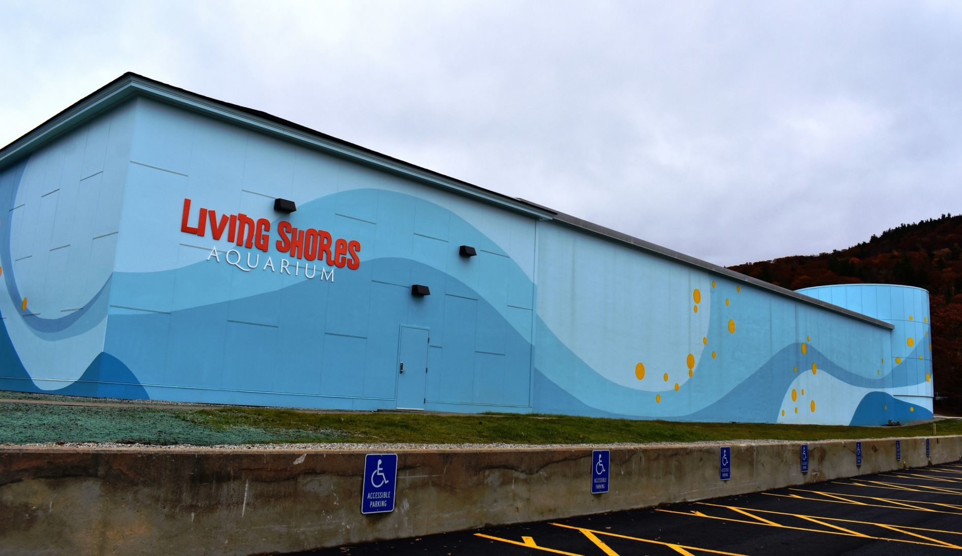 Living Shores Aquarium